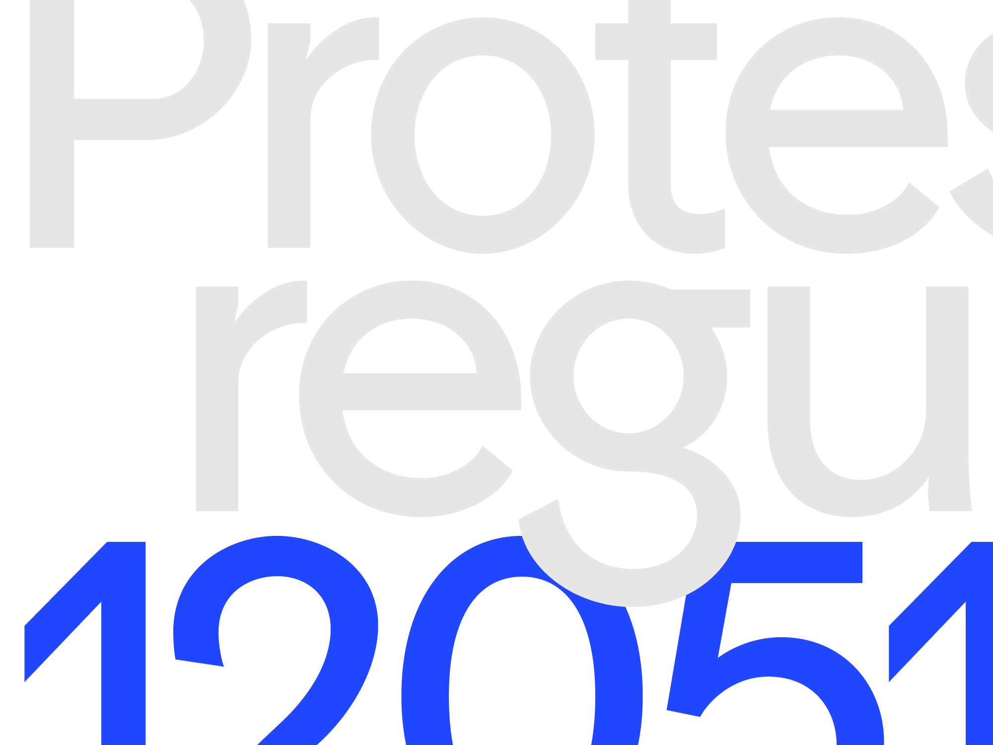 Protest Grotesk Mono Release Note